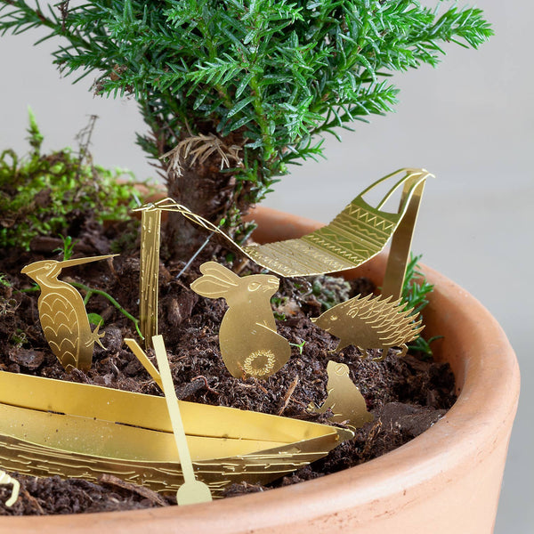 Tiny Camping Houseplant Set - DIGS