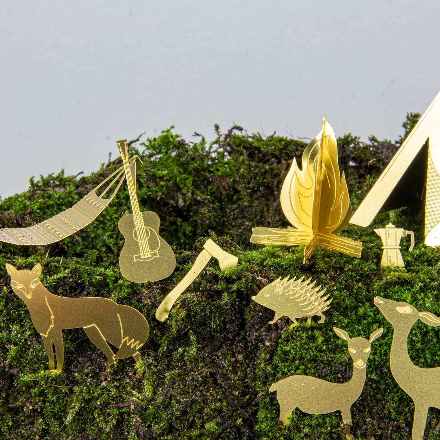 Tiny Camping Houseplant Set - DIGS