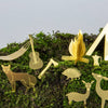 Tiny Camping Houseplant Set - DIGS