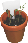 Tiny Gardening Kit - DIGS