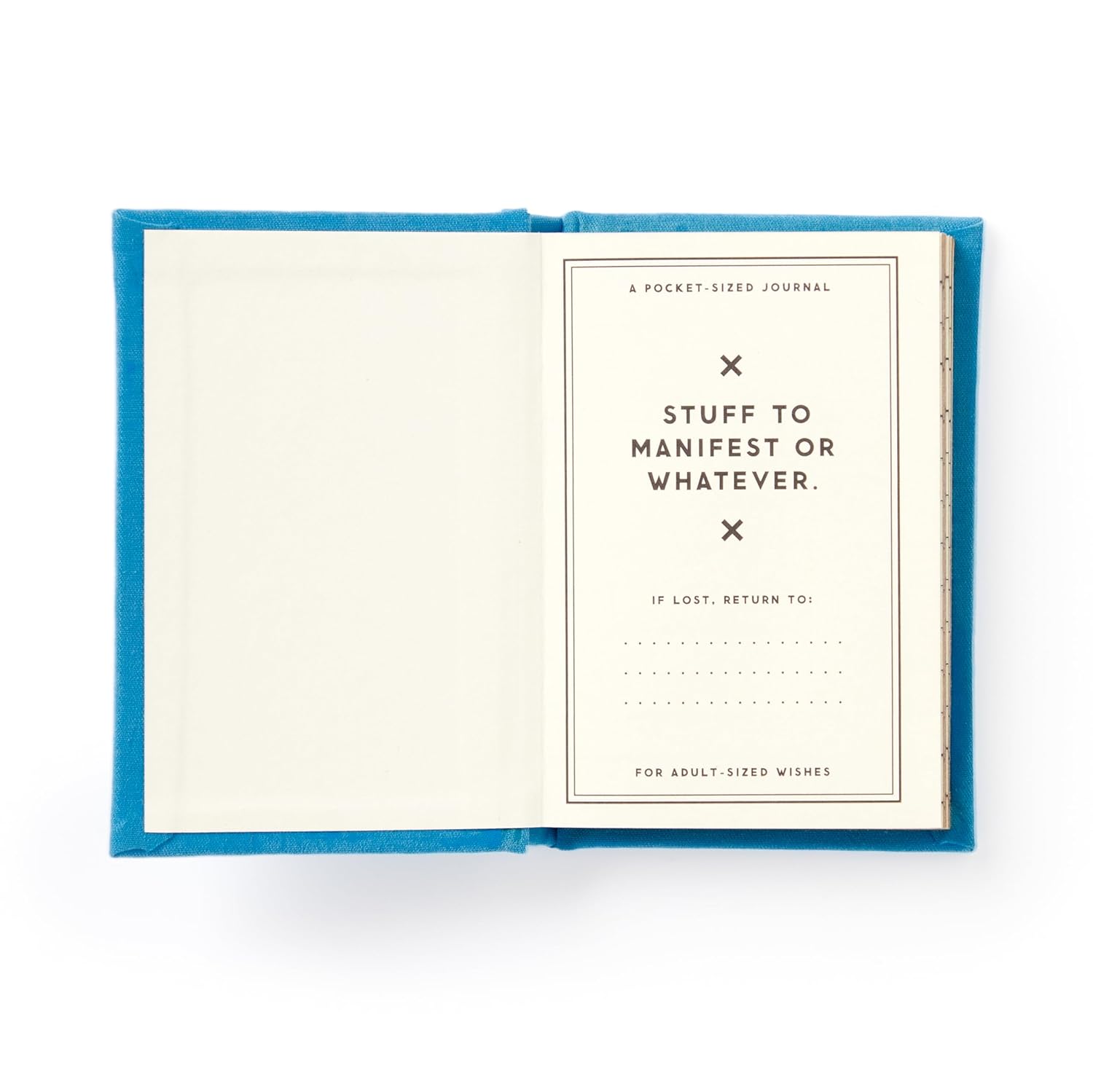 Tiny Hopes and Dreams Diary - DIGS