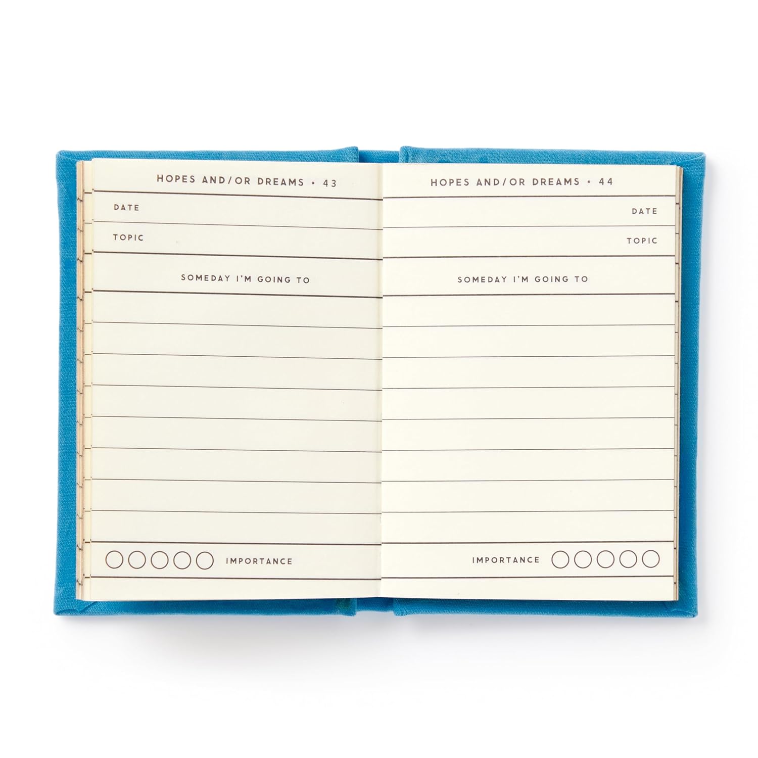 Tiny Hopes and Dreams Diary - DIGS