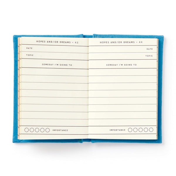 Tiny Hopes and Dreams Diary - DIGS