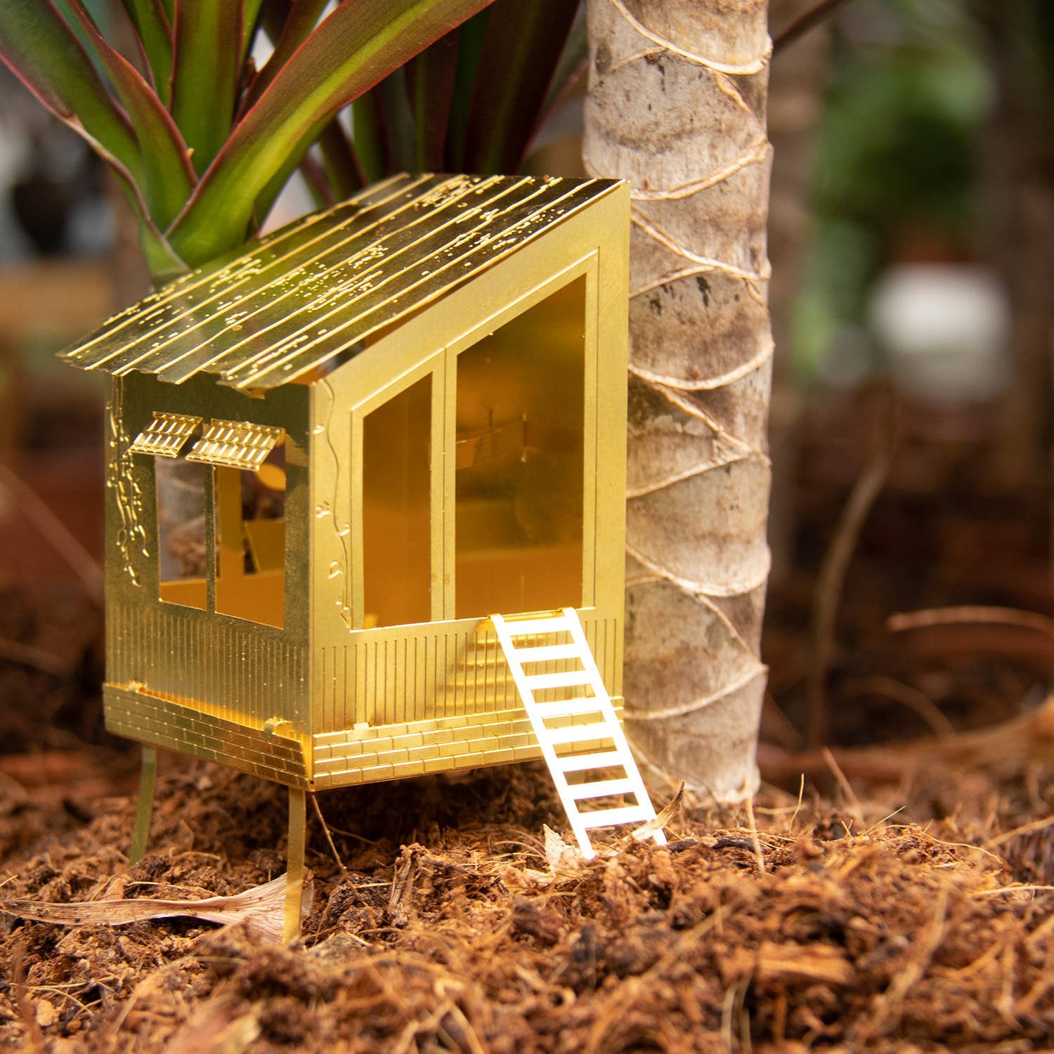 Tiny Treehouse Houseplant Set - DIGS