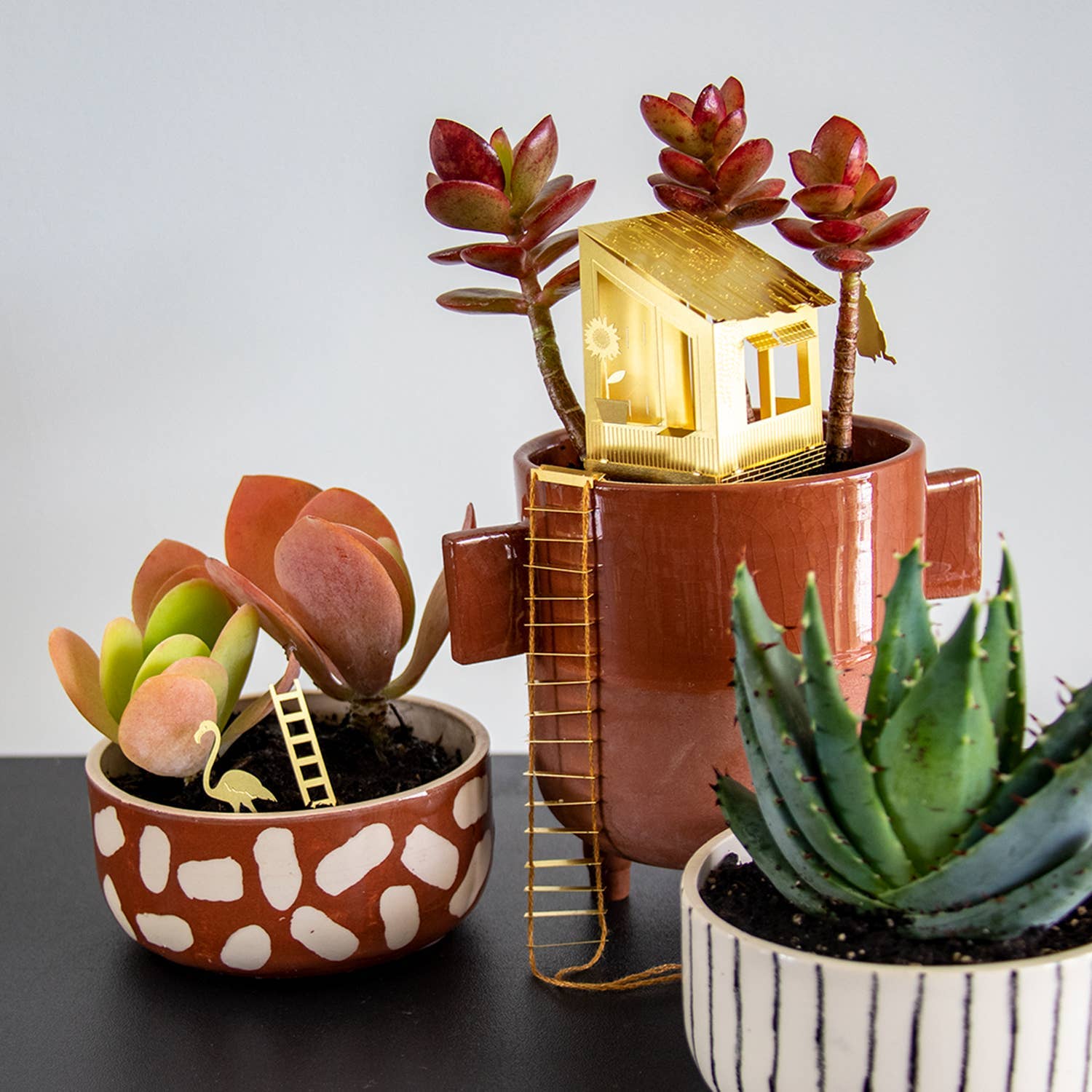 Tiny Treehouse Houseplant Set - DIGS