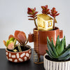 Tiny Treehouse Houseplant Set - DIGS