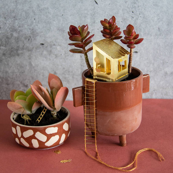 Tiny Treehouse Houseplant Set - DIGS