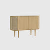 Treasures 2 Door Cabinet - DIGS