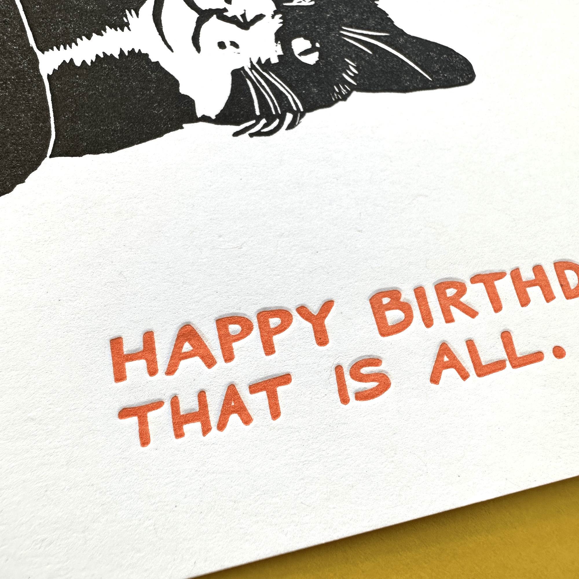 Tuxedo Cat Birthday Cat - DIGS