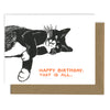 Tuxedo Cat Birthday Cat - DIGS