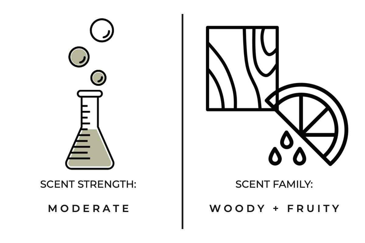 Twilight Mini Candle - DIGS