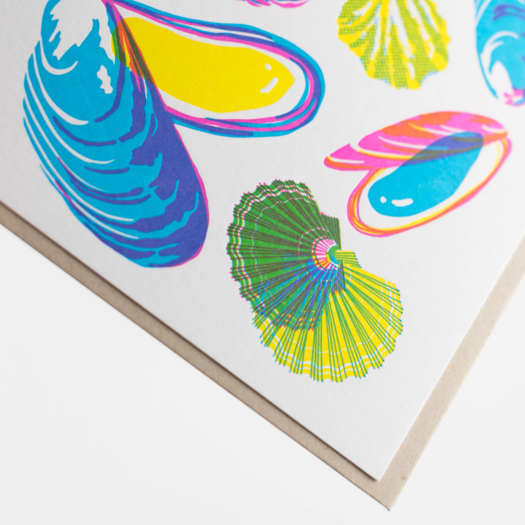 Vibrant Mollusks Card - DIGS
