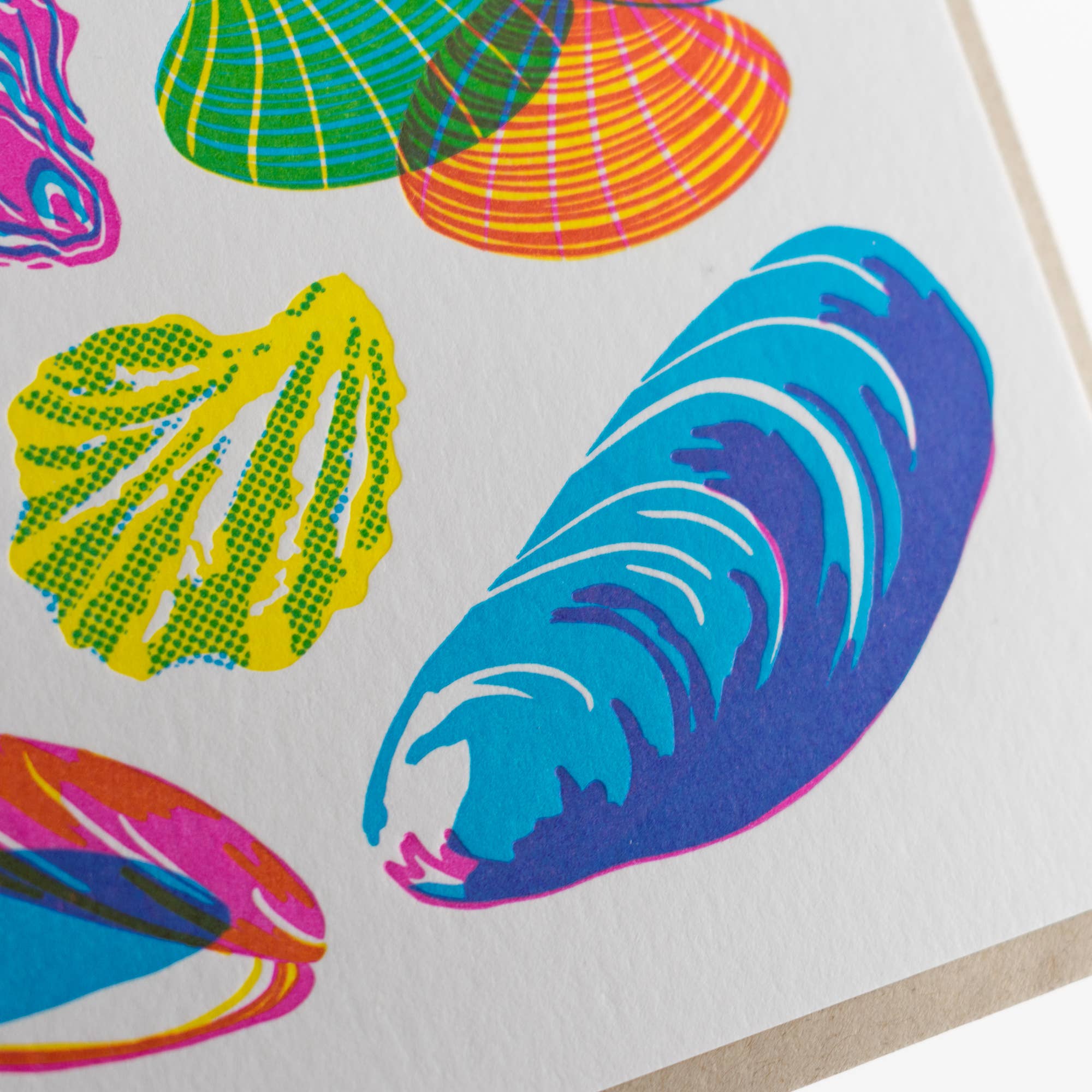 Vibrant Mollusks Card - DIGS