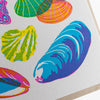 Vibrant Mollusks Card - DIGS