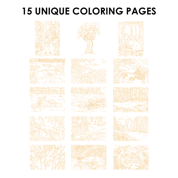 Watercolor Coloring Book: Forest - DIGS