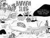 West Coast Wonderful Coloring Book - DIGS