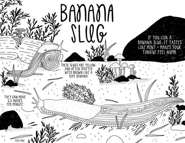 West Coast Wonderful Coloring Book - DIGS