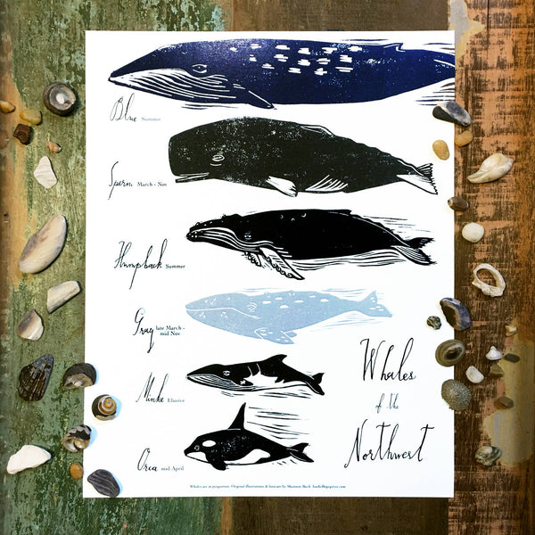 Whales in the PNW 11x14 Print - DIGS