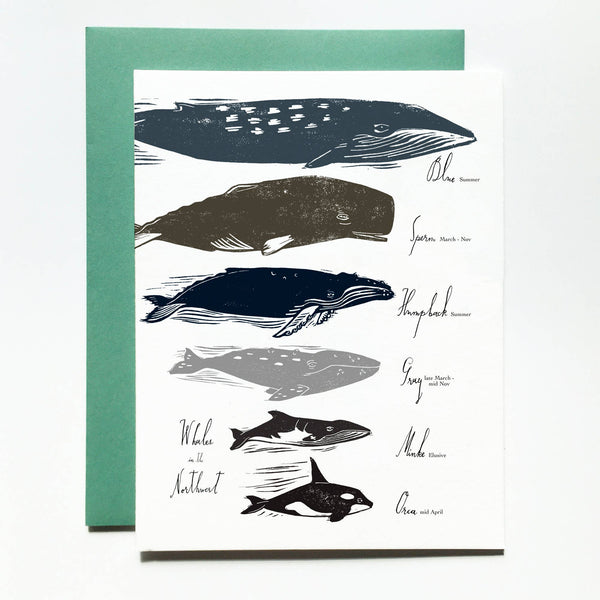 Whales in the PNW Greeting Card - DIGS