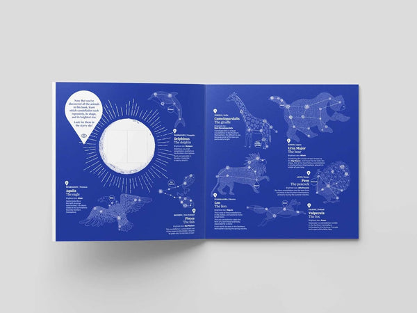 What's Hidden in the Sky: Animal Constellations Around The Sky - DIGS