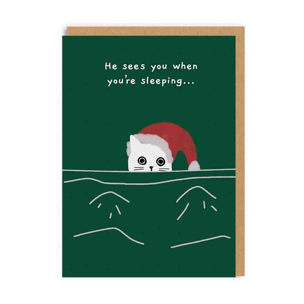 When You're Sleeping Cat Christmas Card - DIGS