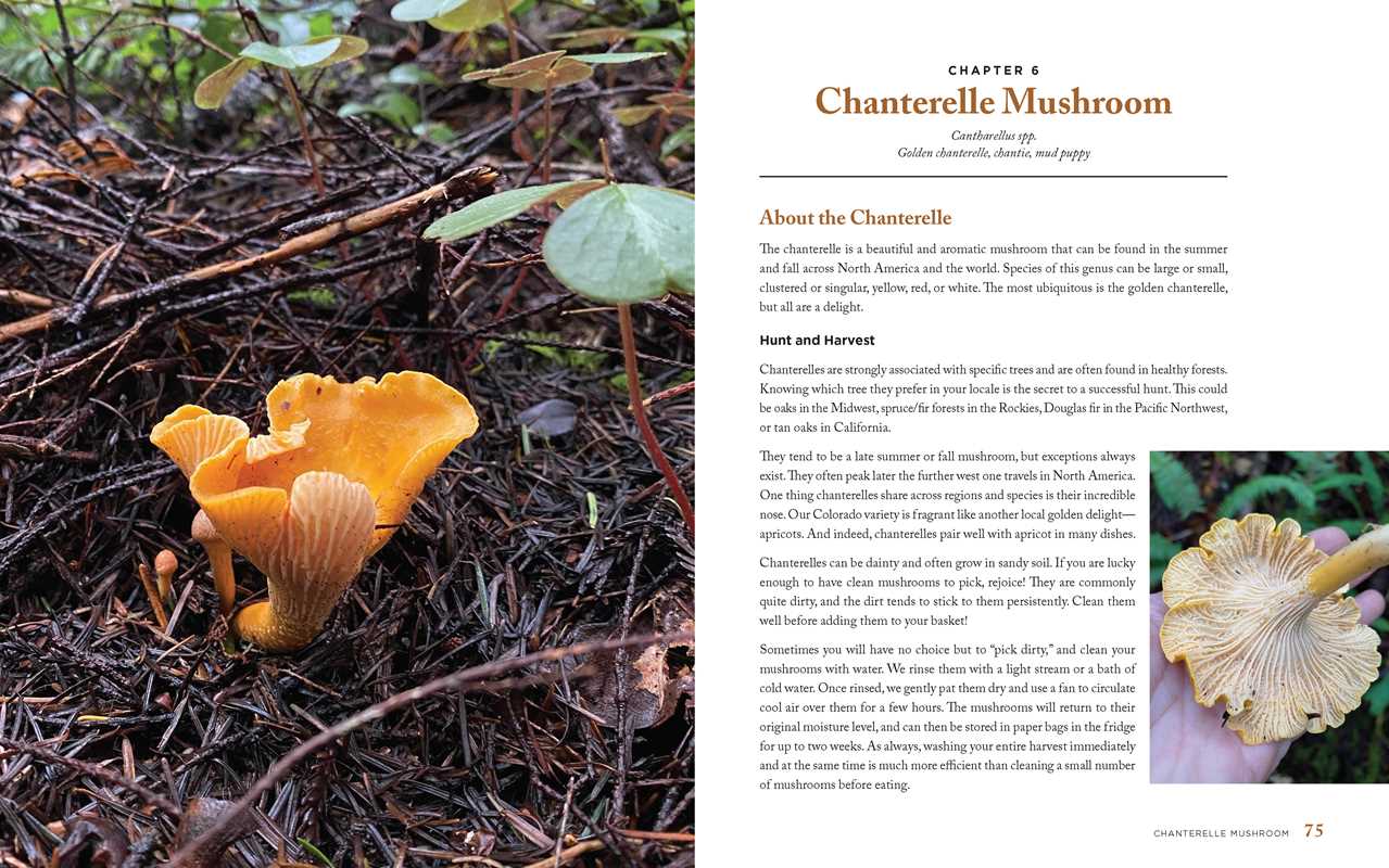 Wild Mushrooms: A Cookbook and Foraging Guide - DIGS