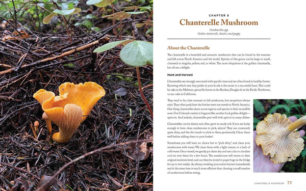 Wild Mushrooms: A Cookbook and Foraging Guide - DIGS