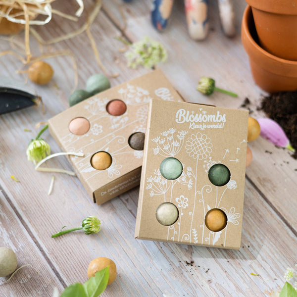 Wildflower Seed Bombs - DIGS
