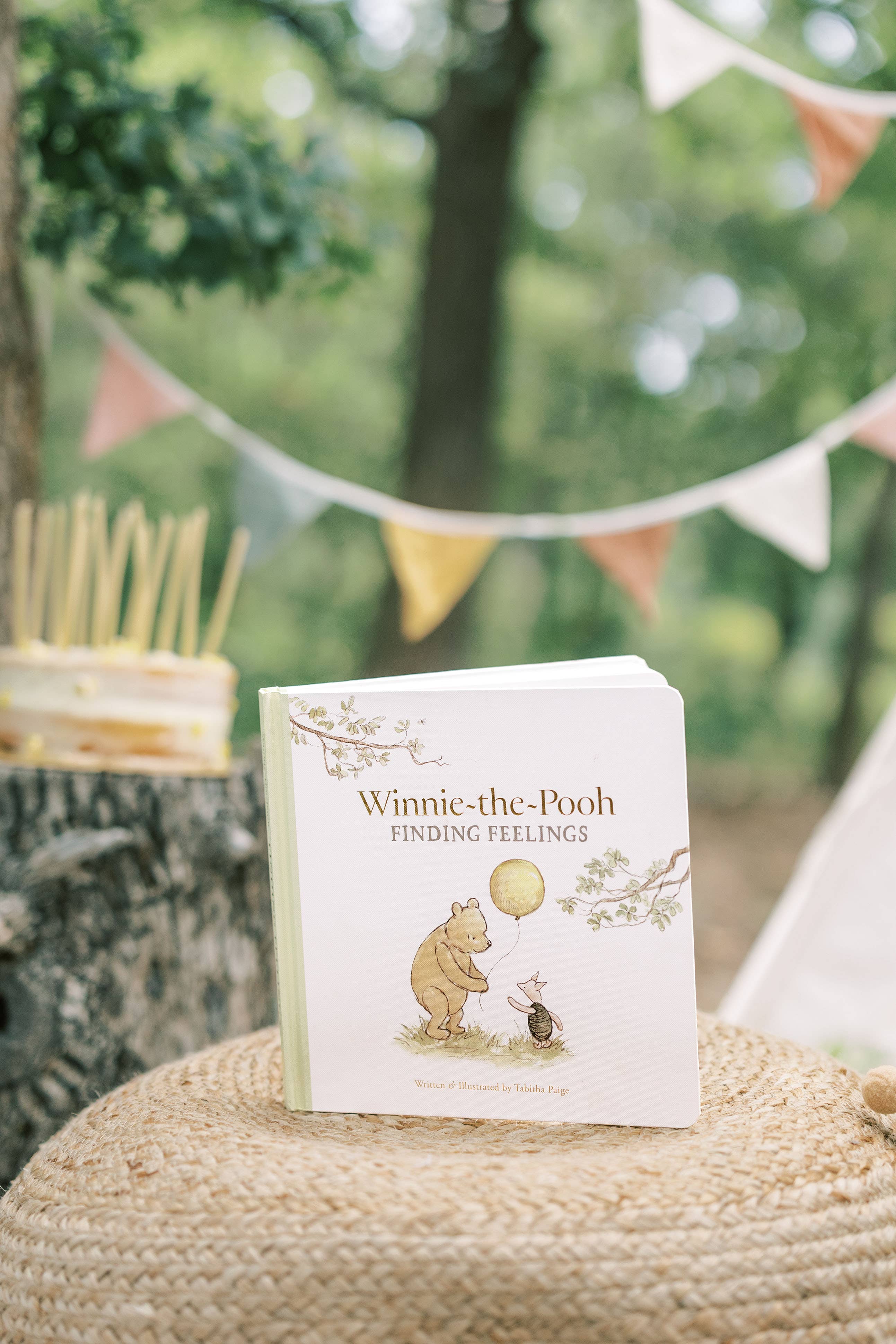 Winnie-the-Pooh: Finding Feelings - DIGS