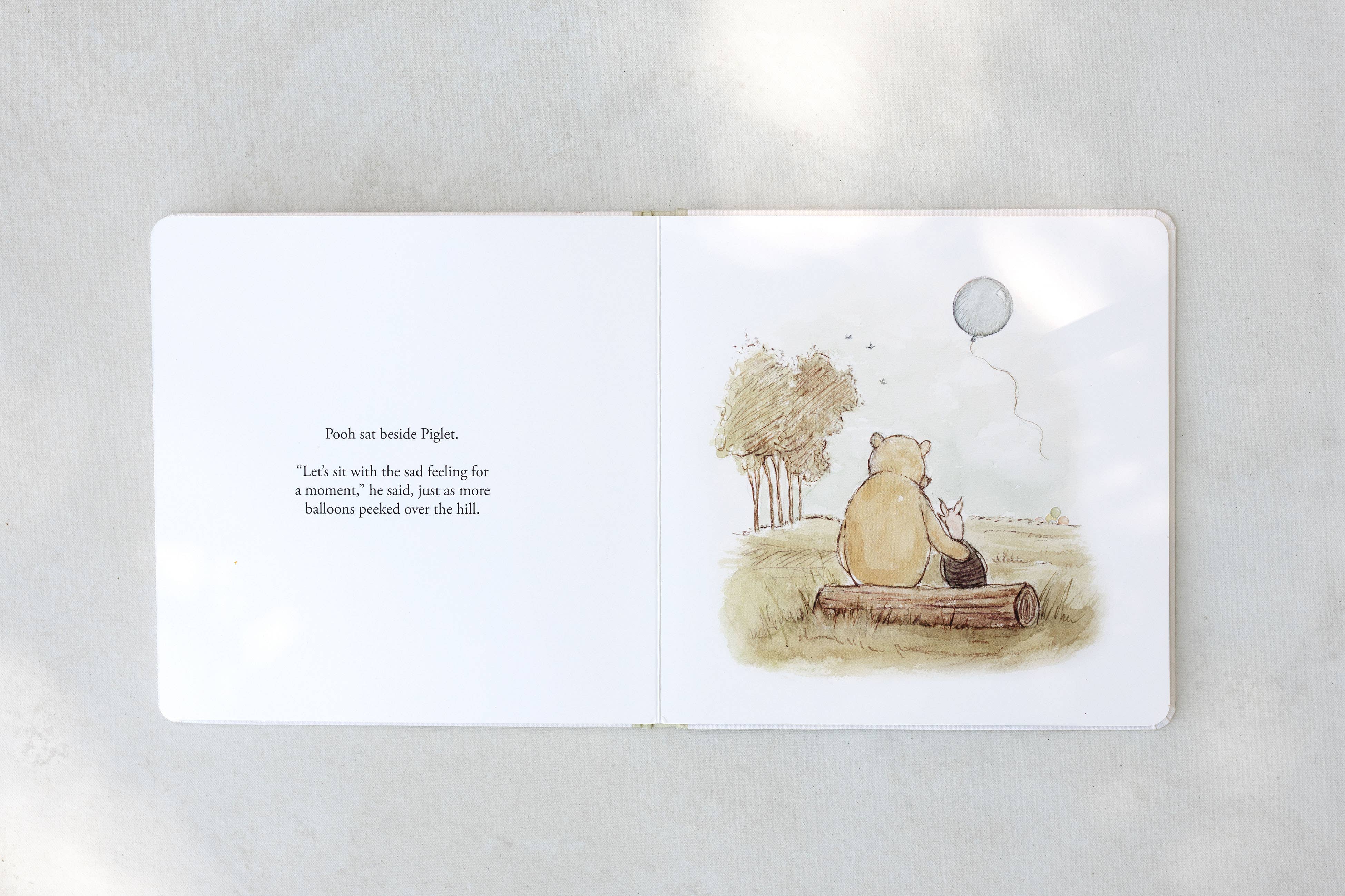 Winnie-the-Pooh: Finding Feelings - DIGS