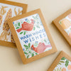 Winter Cardinals Card Box Set - DIGS