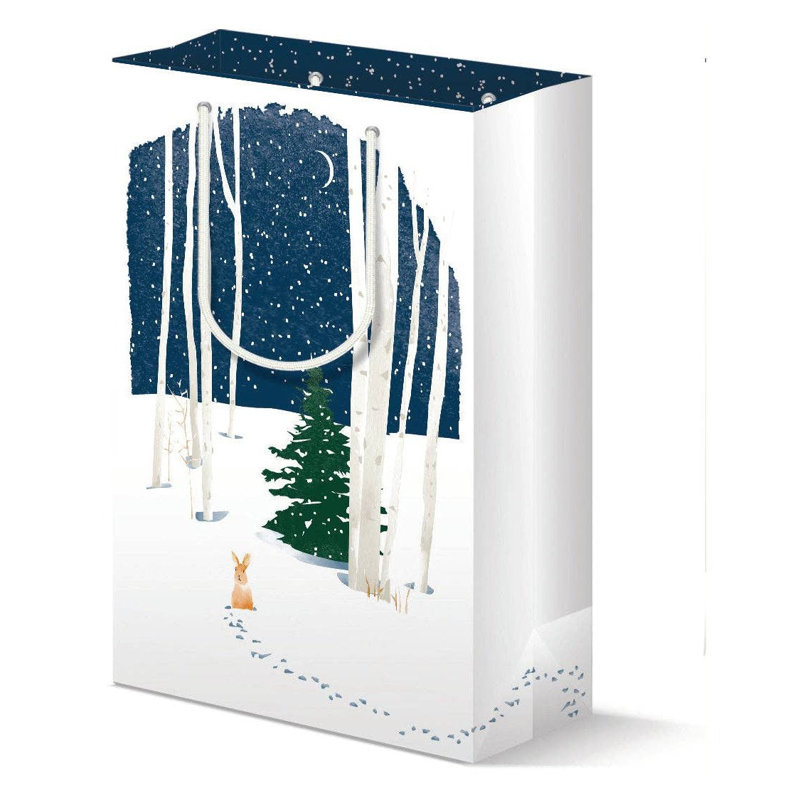 Winter Night Holiday Gift Bag - DIGS