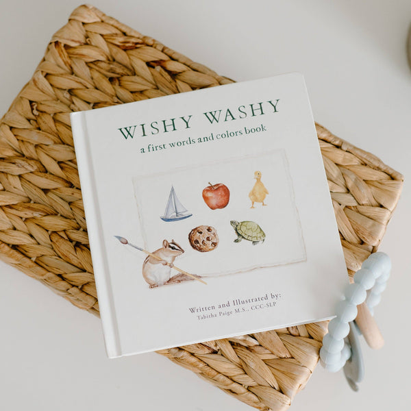 Wishy Washy: A Board Book of First Words and Colors - DIGS