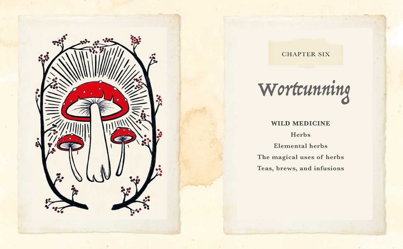 Witch of The Woods - DIGS