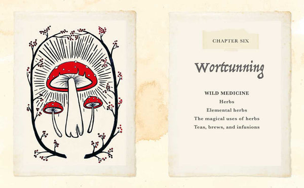 Witch of The Woods - DIGS