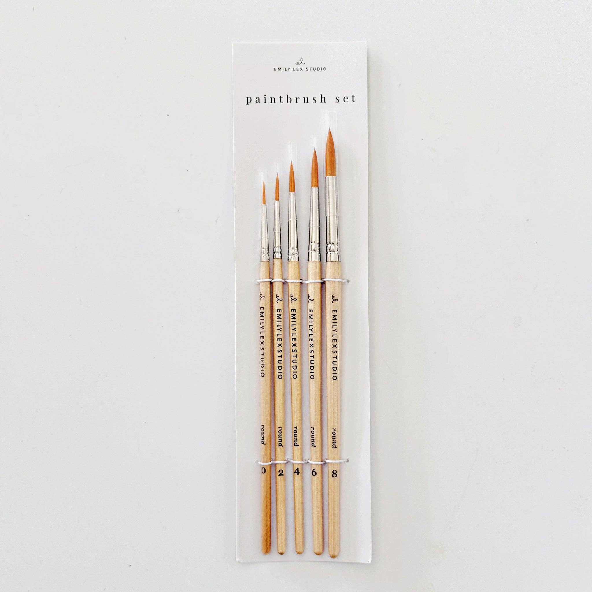 Wood Paintbrushes: Set of Five - DIGS