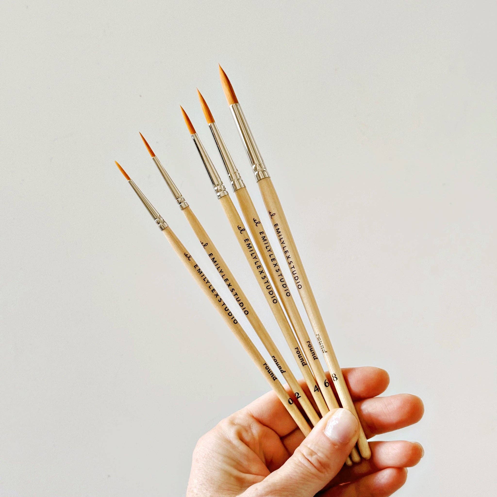 Wood Paintbrushes: Set of Five - DIGS