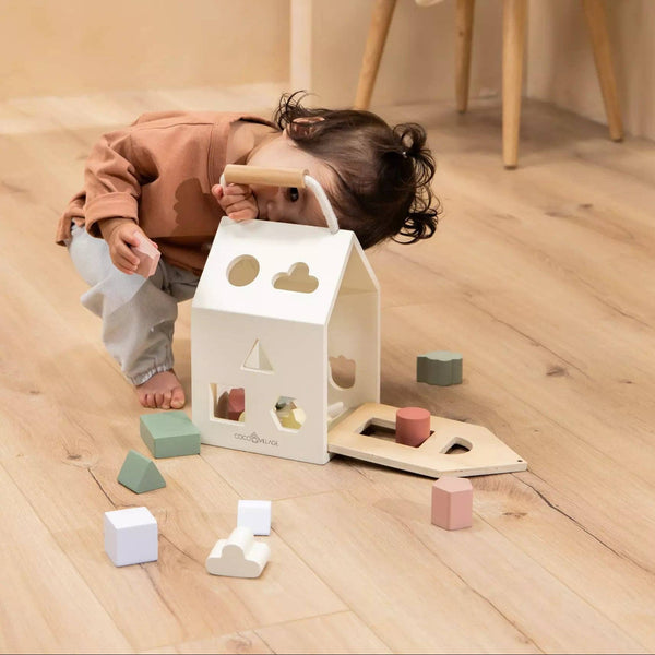 Wooden Shapes Sorting House - DIGS