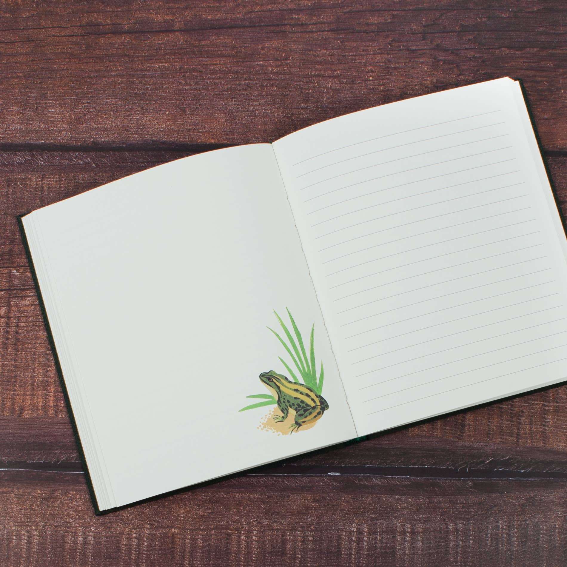 Woodland Journal - DIGS
