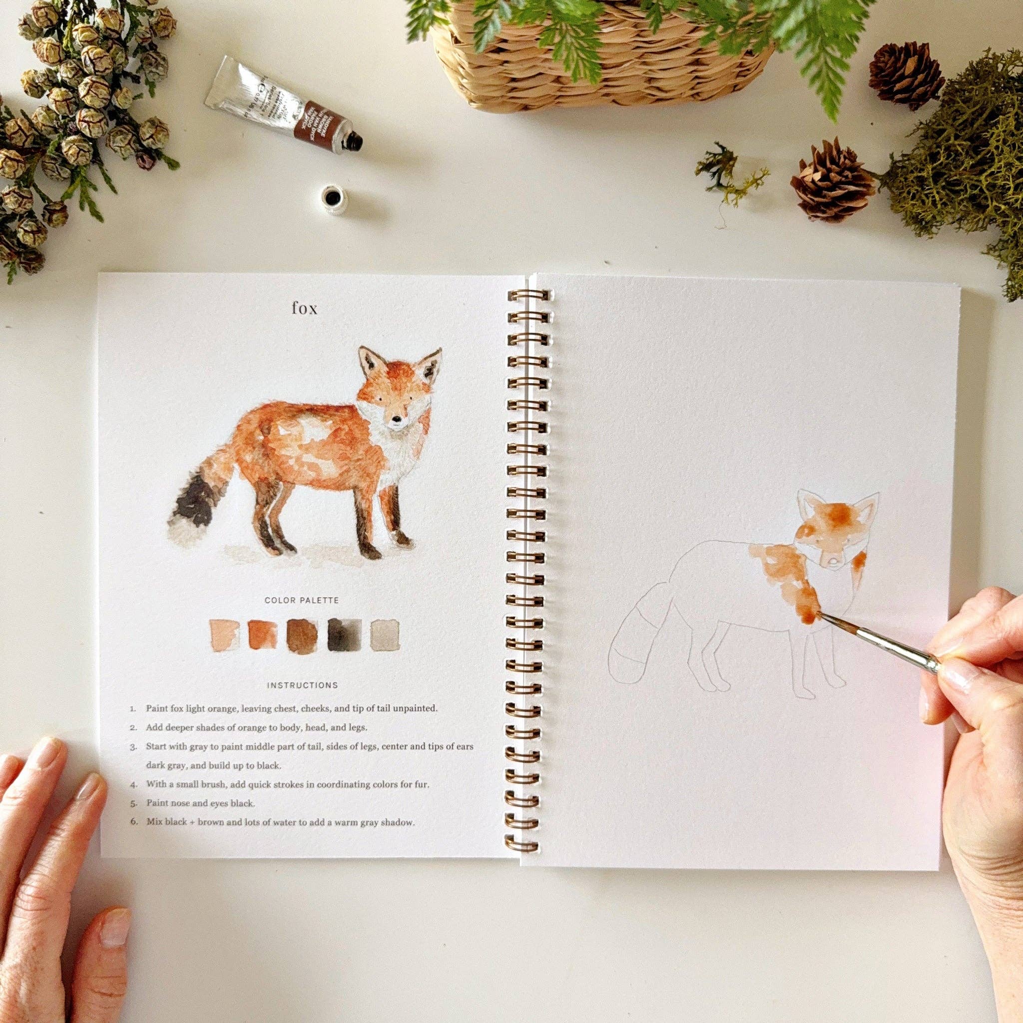Woodland Watercolor Workbook - DIGS