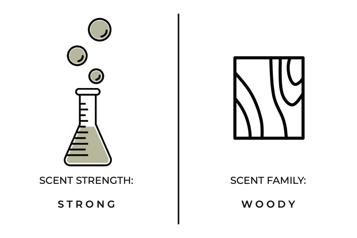 Woods Mini Candle - DIGS