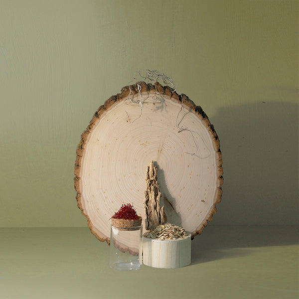 Woods Mini Candle - DIGS