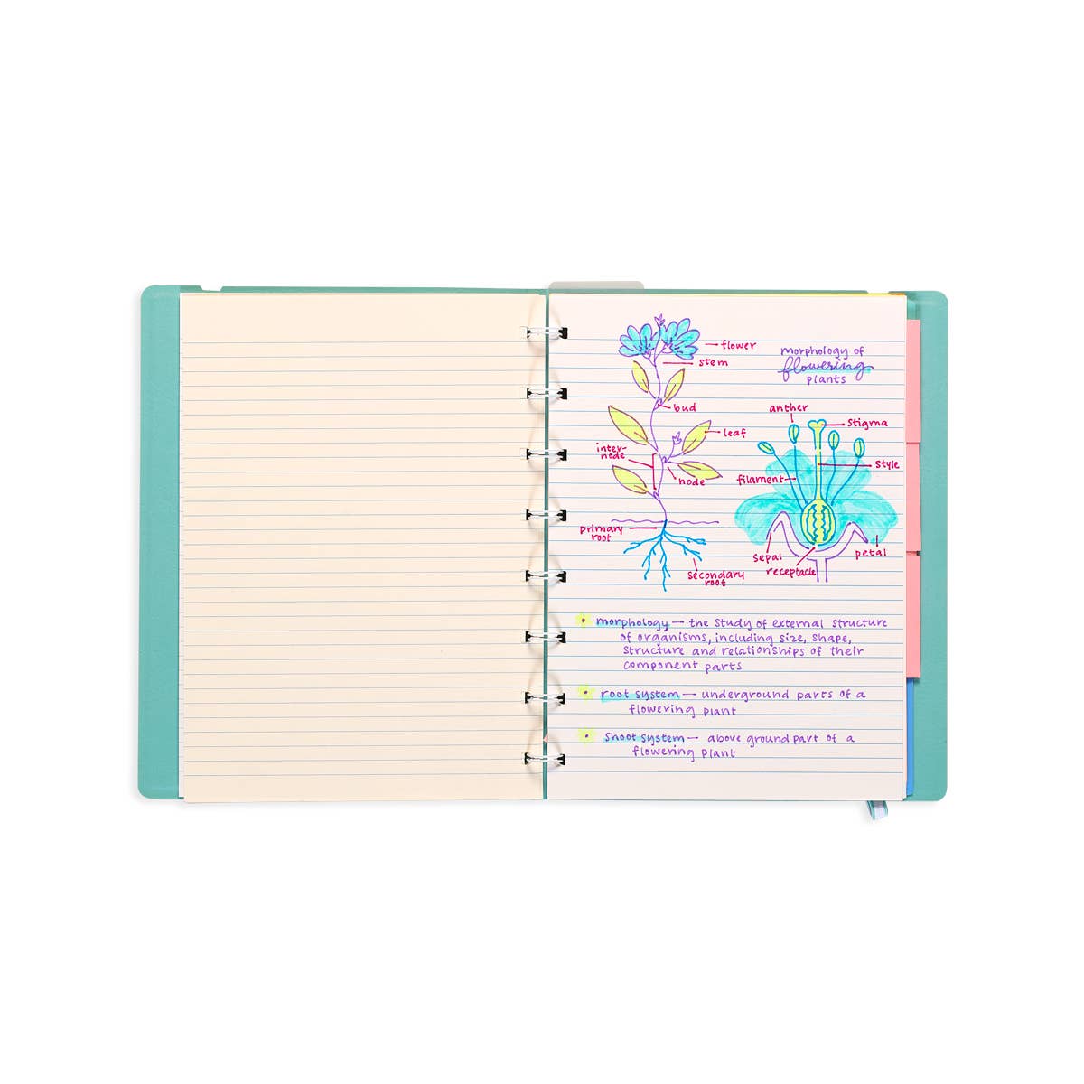 Writer's Duo Double - Ended Fountain Pens + Highlighters - DIGS