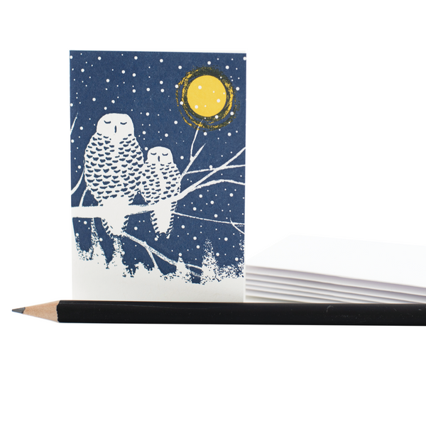 Peaceful Owls Enclosure Card, Box/6