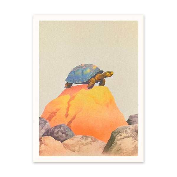 Tortoise on a Rock Art Print