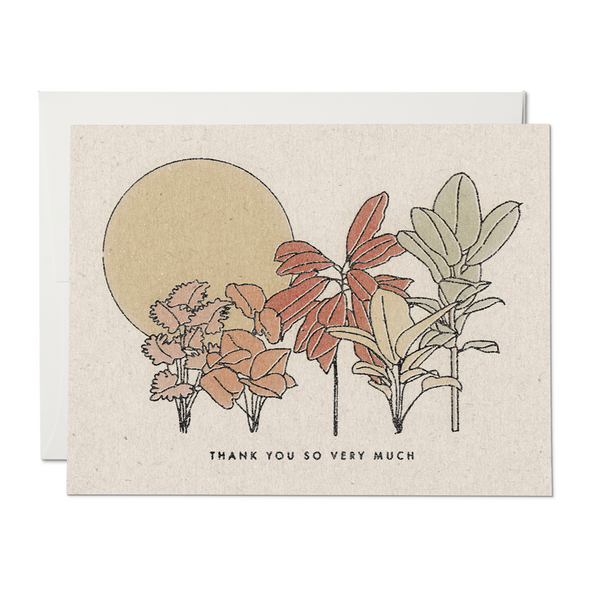 Desert Plants Thank You Card - DIGS