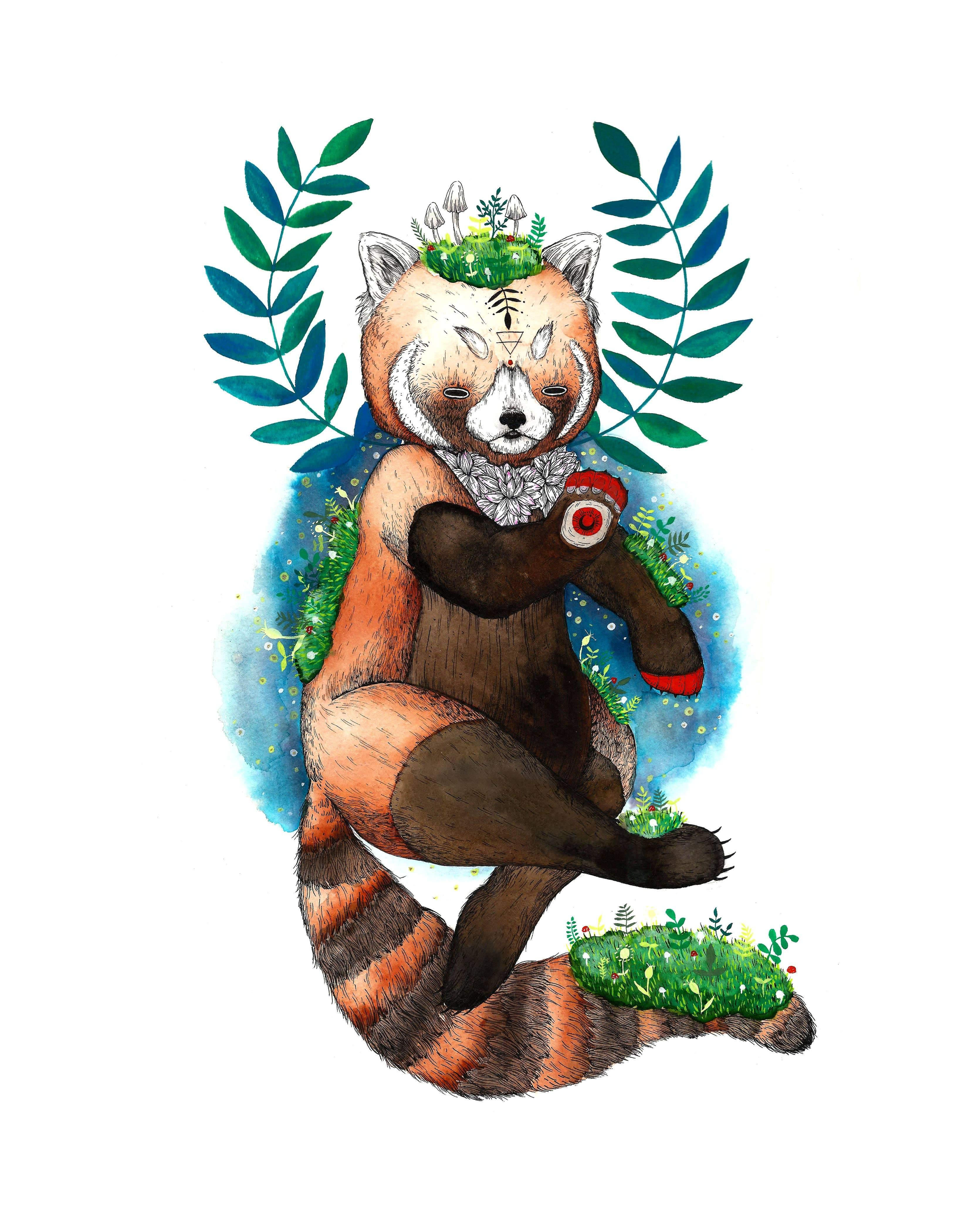 Red Panda Oracle Print - DIGS