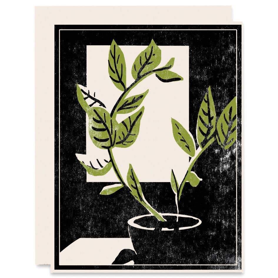Plant By The Window Card - DIGS