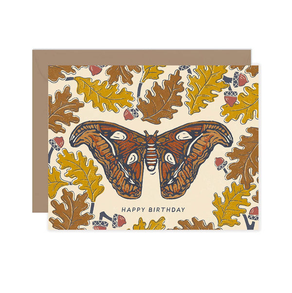 Atlas Moth Autumn Happy Birthday Card