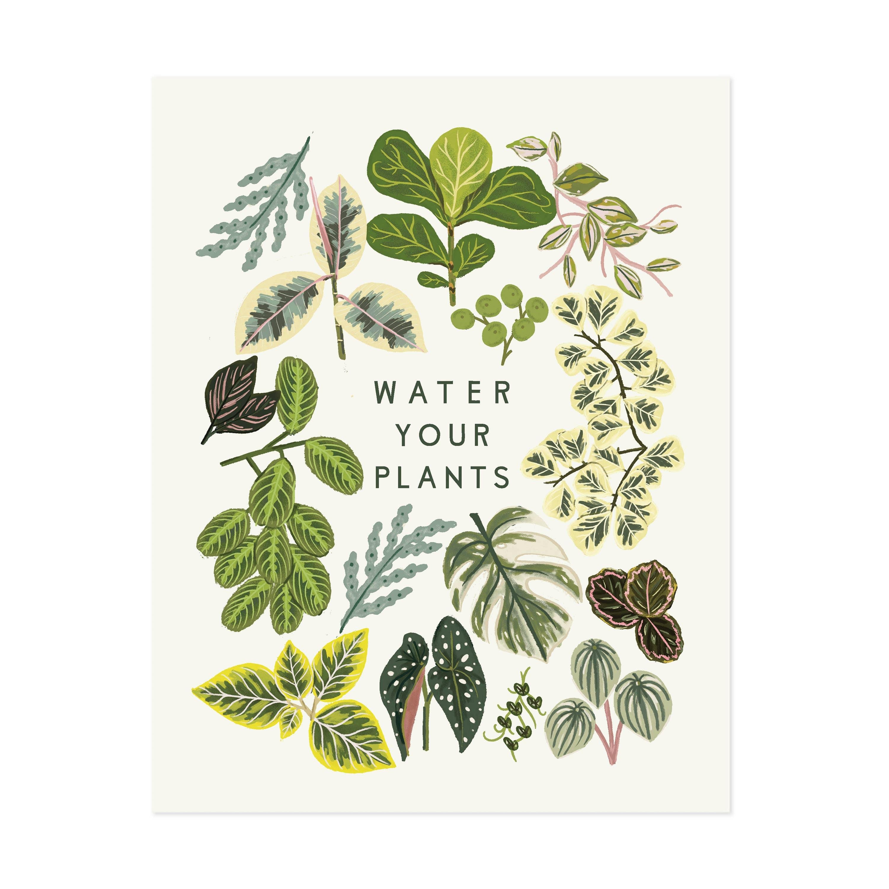 Water Your Plants Art Print - DIGS